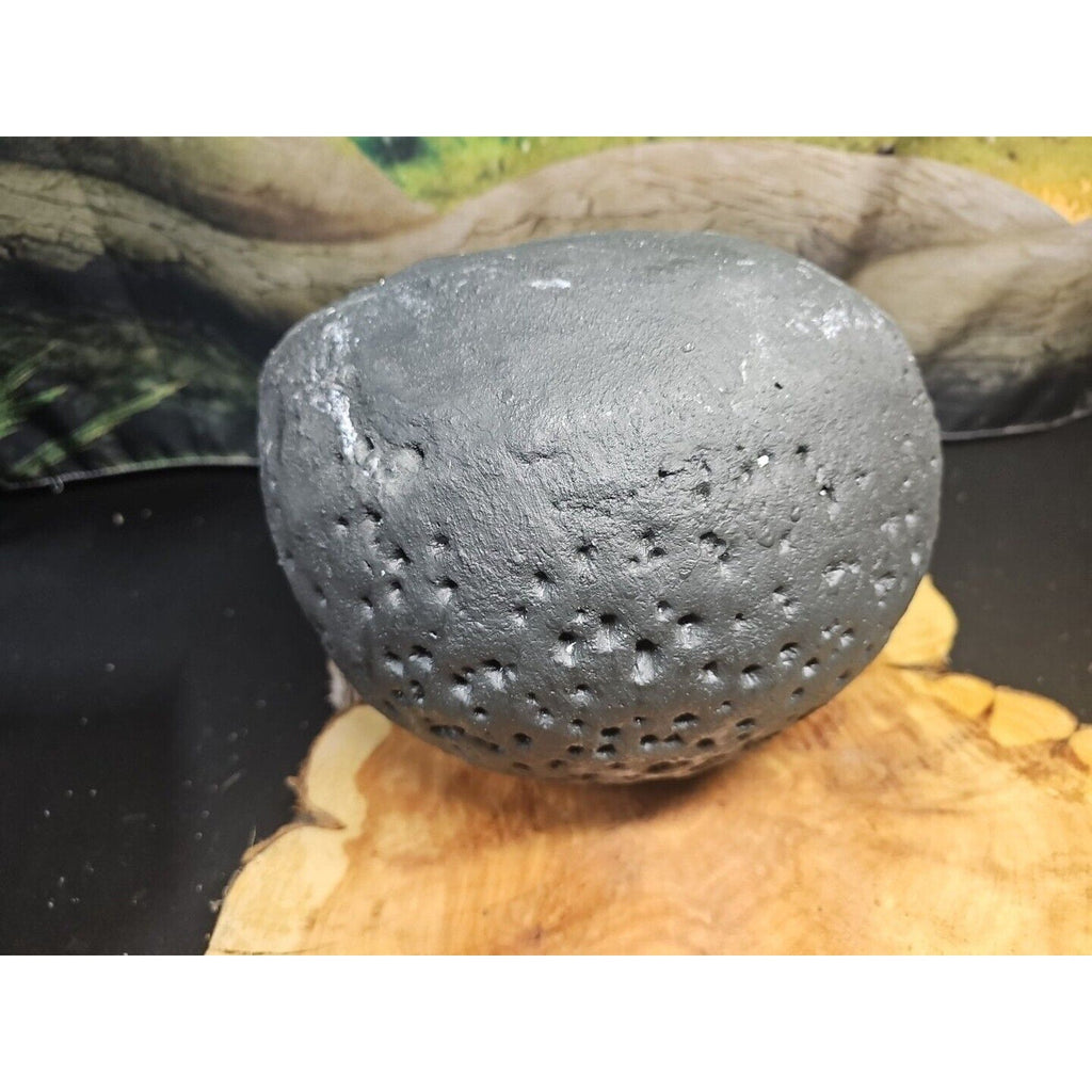 Amethyst Geode - 16.8 lb Raw Brazilian Specimen