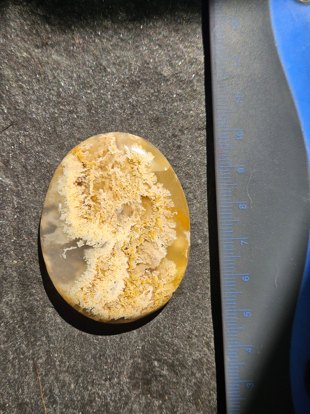 Natural Plume Agate Cabochon — 55 x 44 mm Hand Cut Oval, Golden Plume