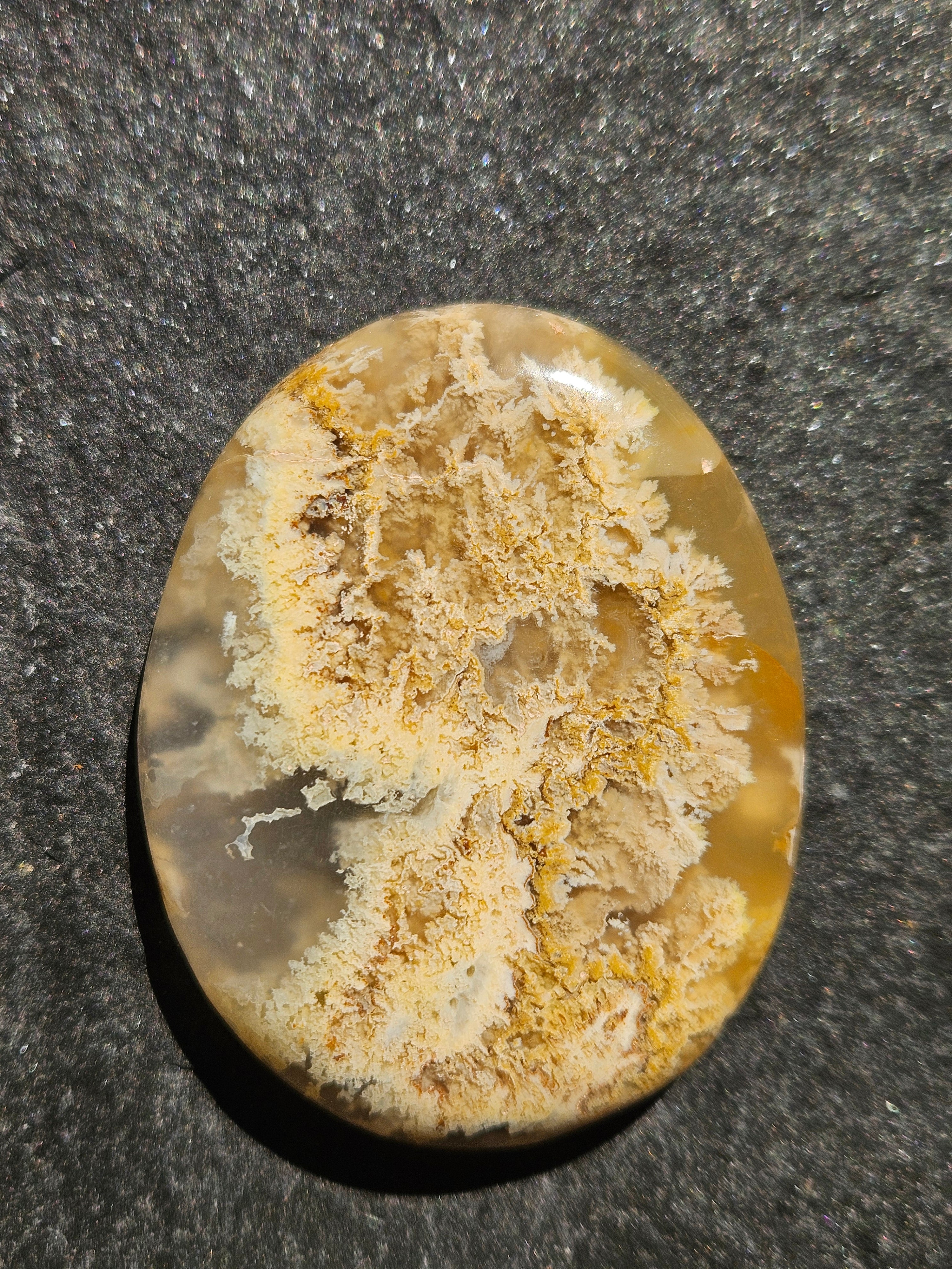 Natural Plume Agate Cabochon — 55 x 44 mm Hand Cut Oval, Golden Plume