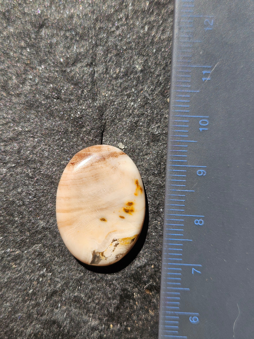 Natural Agatized Wood Cabochon — 26 x 19 mm Hand Cut Oval, Cream & Amber