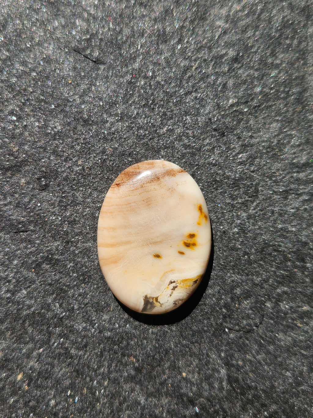 Natural Agatized Wood Cabochon — 26 x 19 mm Hand Cut Oval, Cream & Amber