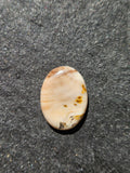 Natural Agatized Wood Cabochon — 26 x 19 mm Hand Cut Oval, Cream & Amber