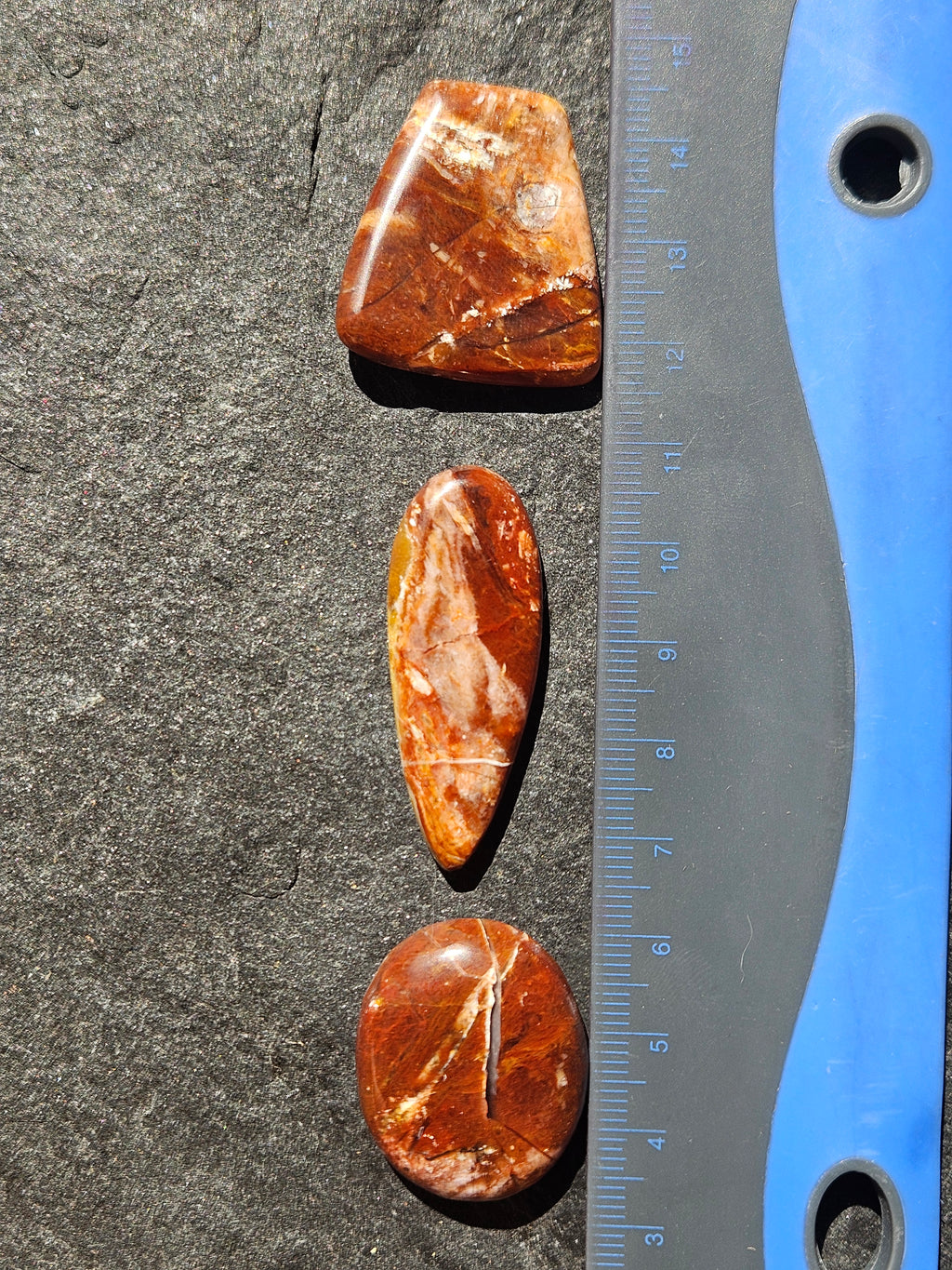 Natural Petrified Wood Cabochon — 29 x 26 mm Hand Cut Trapezoid, Red