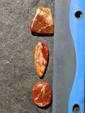 Natural Petrified Wood Cabochon — 30 x 21 mm Hand Cut Oval, Sold As-Is