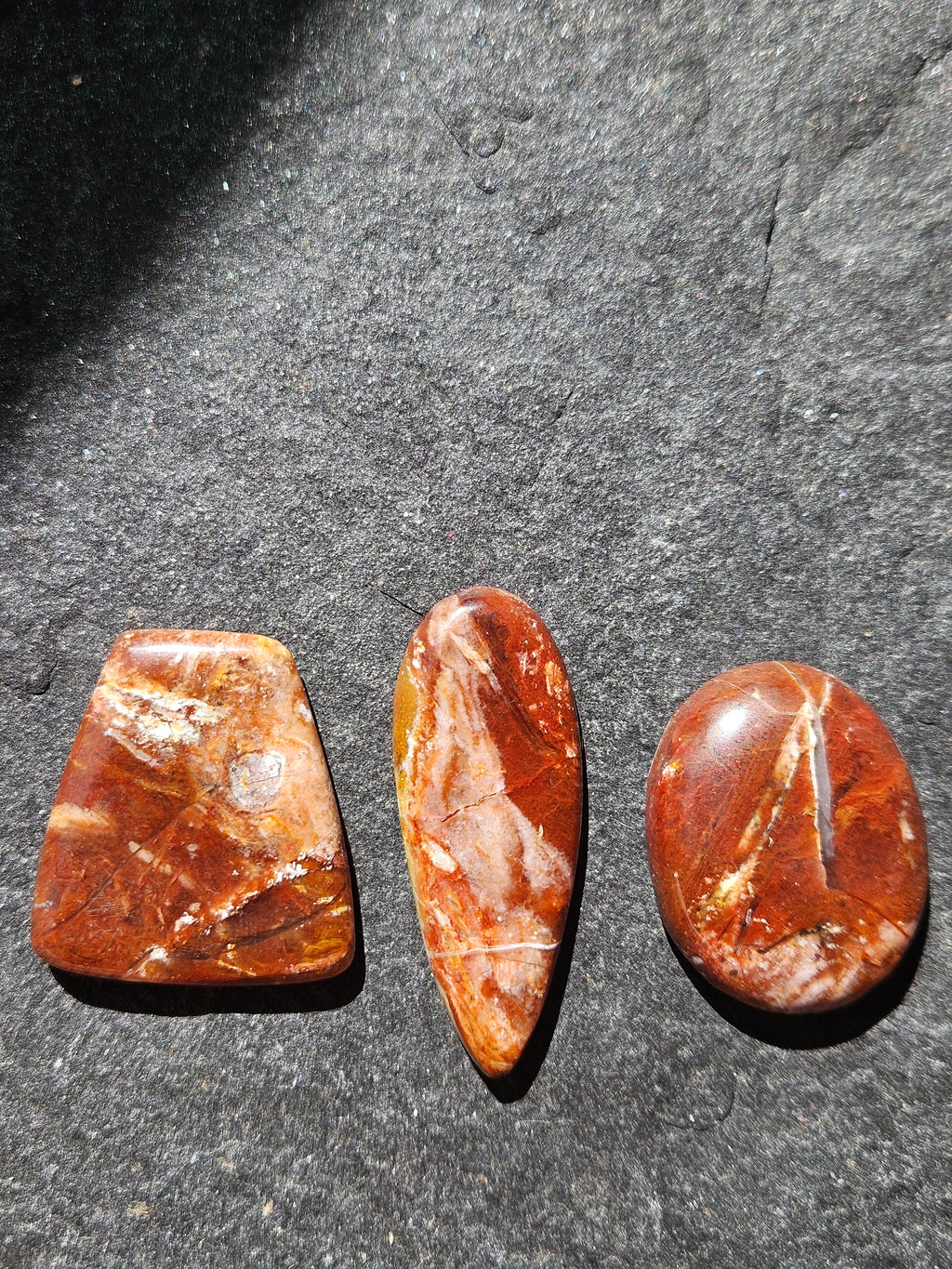 Natural Petrified Wood Cabochon — 30 x 21 mm Hand Cut Oval, Sold As-Is