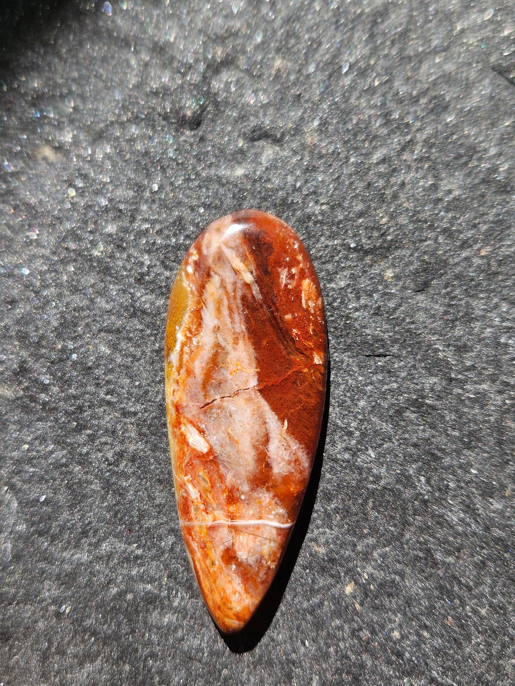 Natural Petrified Wood Cabochon — 38 x 15 mm Hand Cut Marquise, Red & Cream