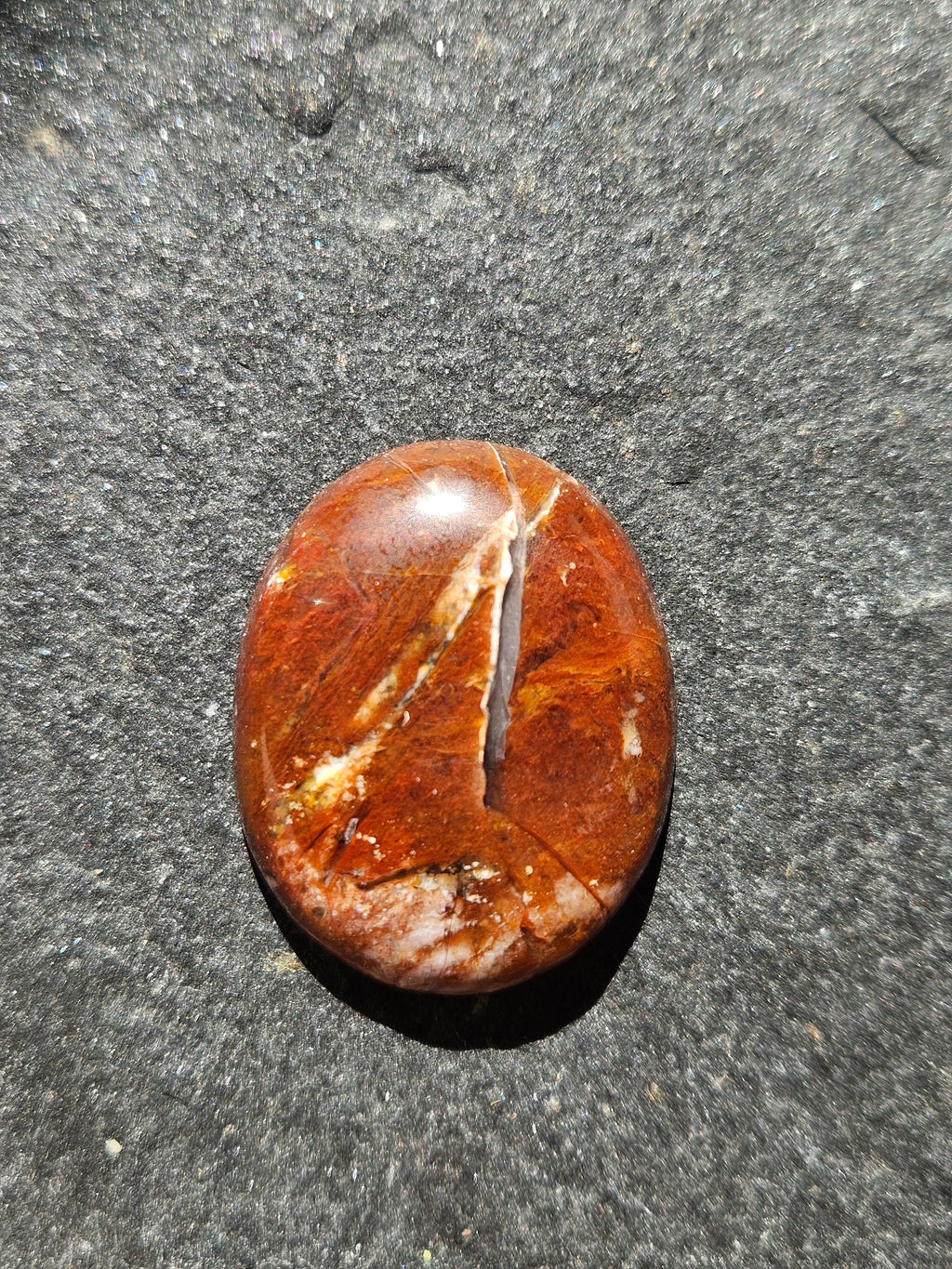 Natural Petrified Wood Cabochon — 30 x 21 mm Hand Cut Oval, Sold As-Is