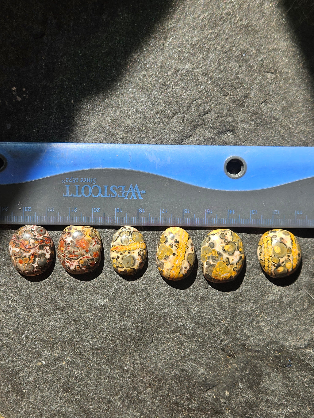 Natural Leopard Skin Jasper Cabochon — 24 x 20 mm Hand Cut Oval, Gold Stripe