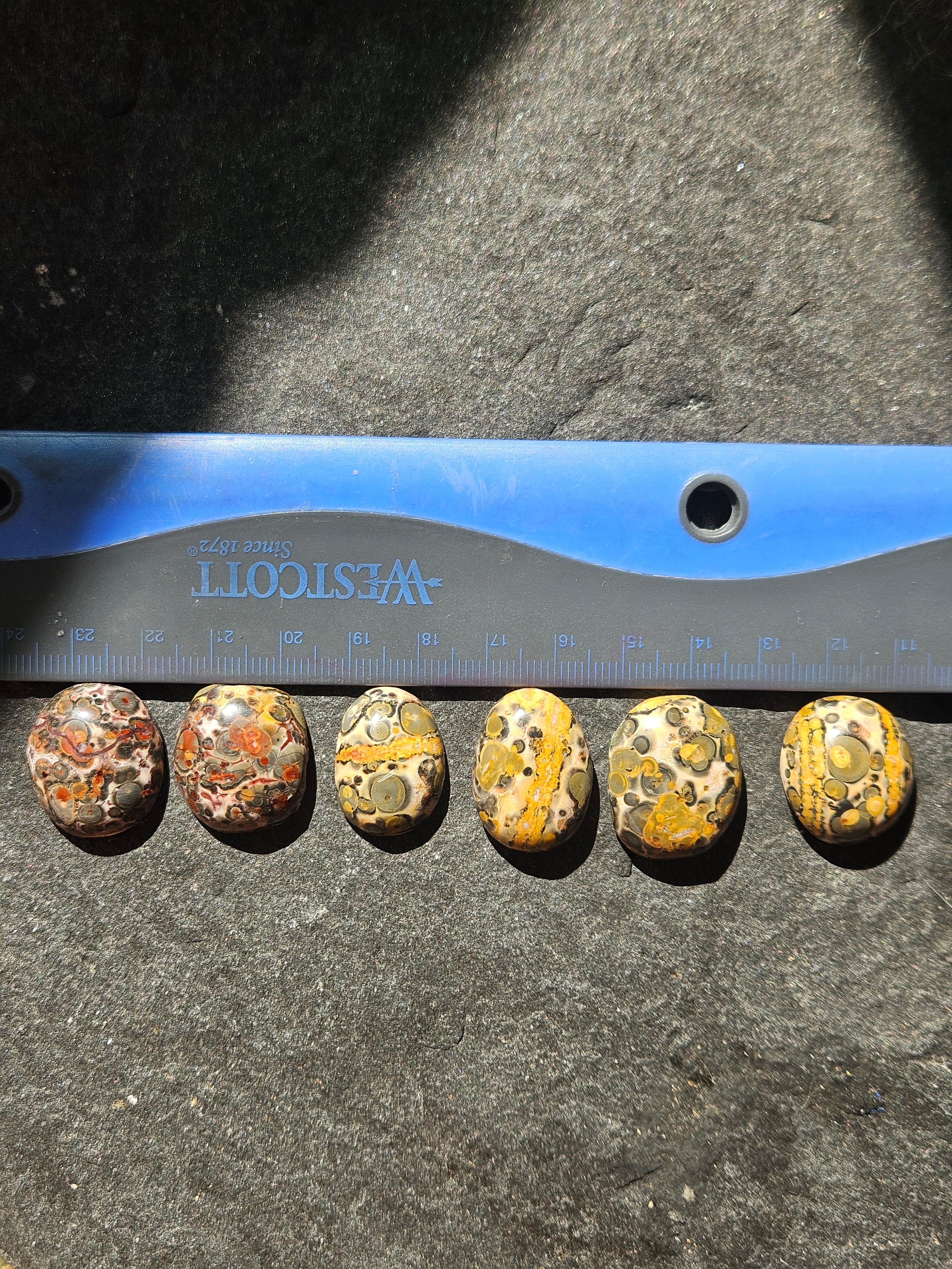 Natural Leopard Skin Jasper Cabochon — 24 x 20 mm Hand Cut Oval, Gold Stripe