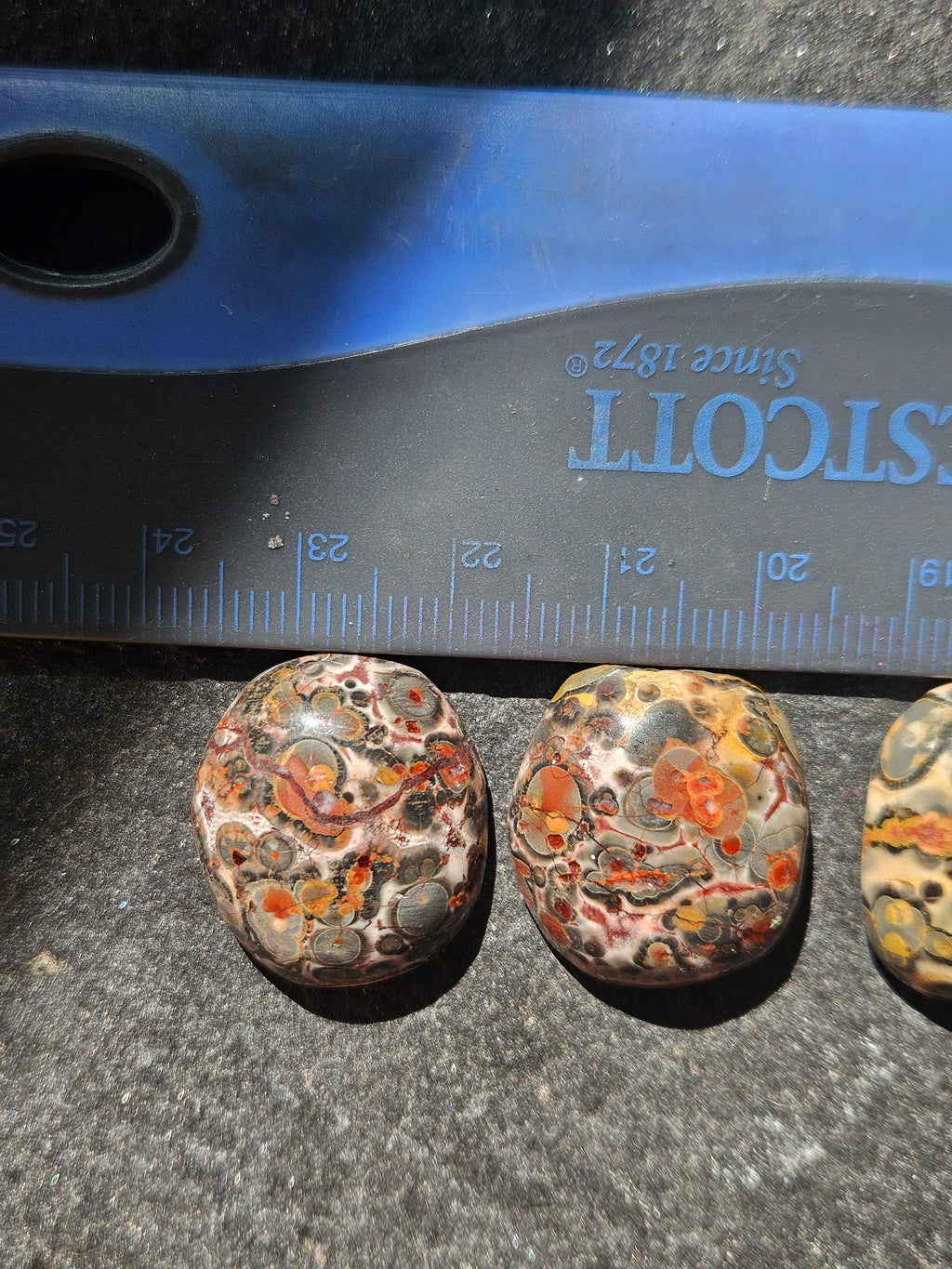 Natural Leopard Skin Jasper Cabochon — 22 x 19 mm Hand Cut Oval, Red Orbs