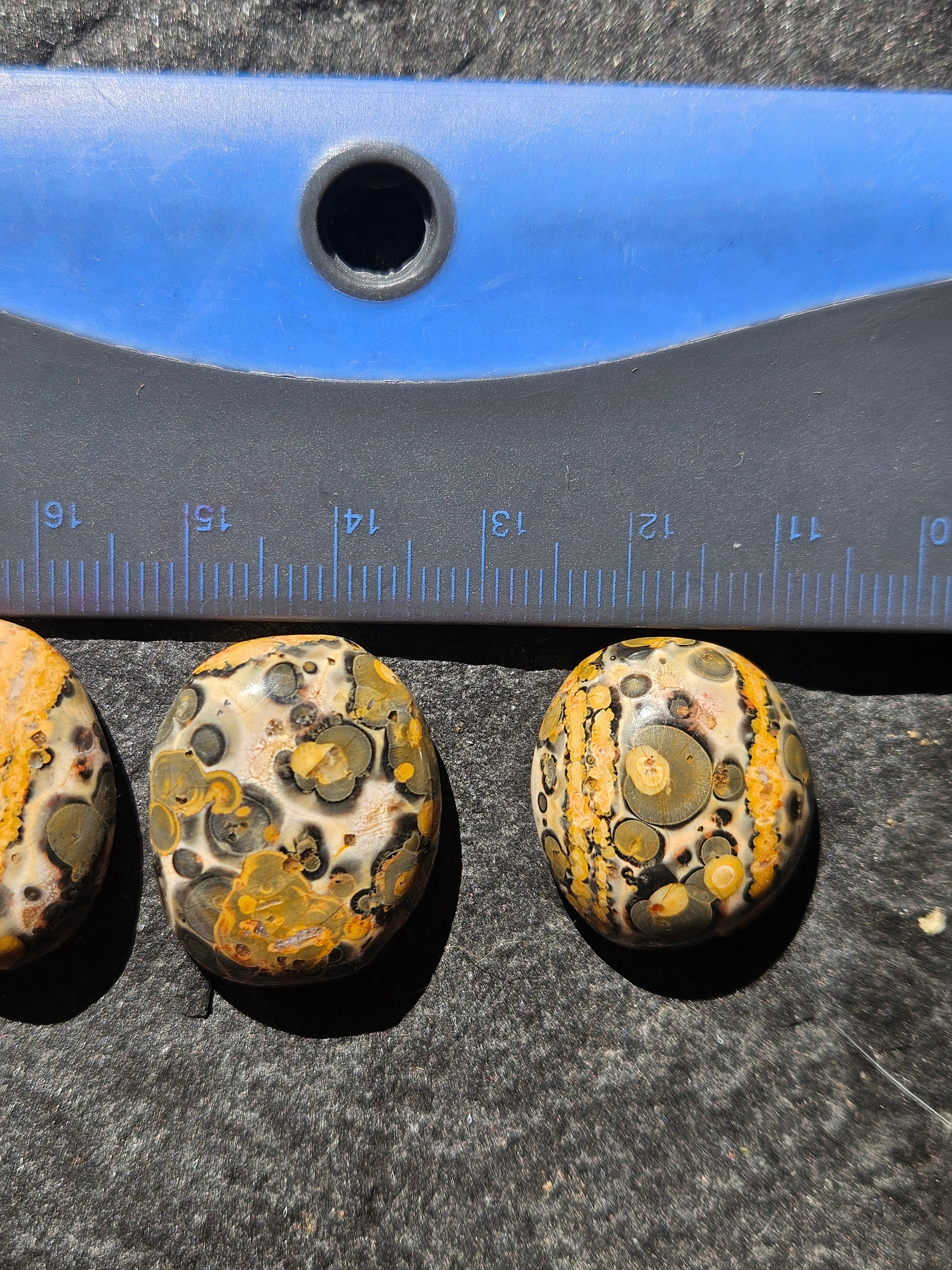 Natural Leopard Skin Jasper Cabochon — 24 x 21 mm Hand Cut Oval, Gold & Olive