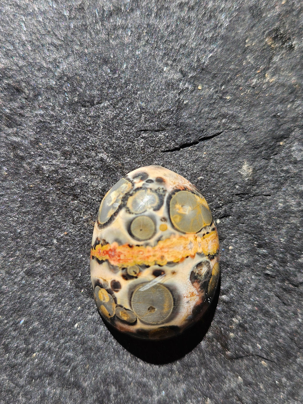 Natural Leopard Skin Jasper Cabochon — 24 x 19 mm Hand Cut Oval, Olive Orbs