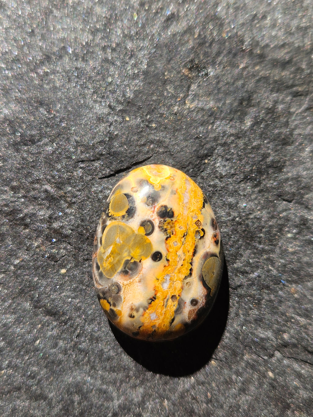 Natural Leopard Skin Jasper Cabochon — 25 x 20 mm Hand Cut Oval, Gold Band