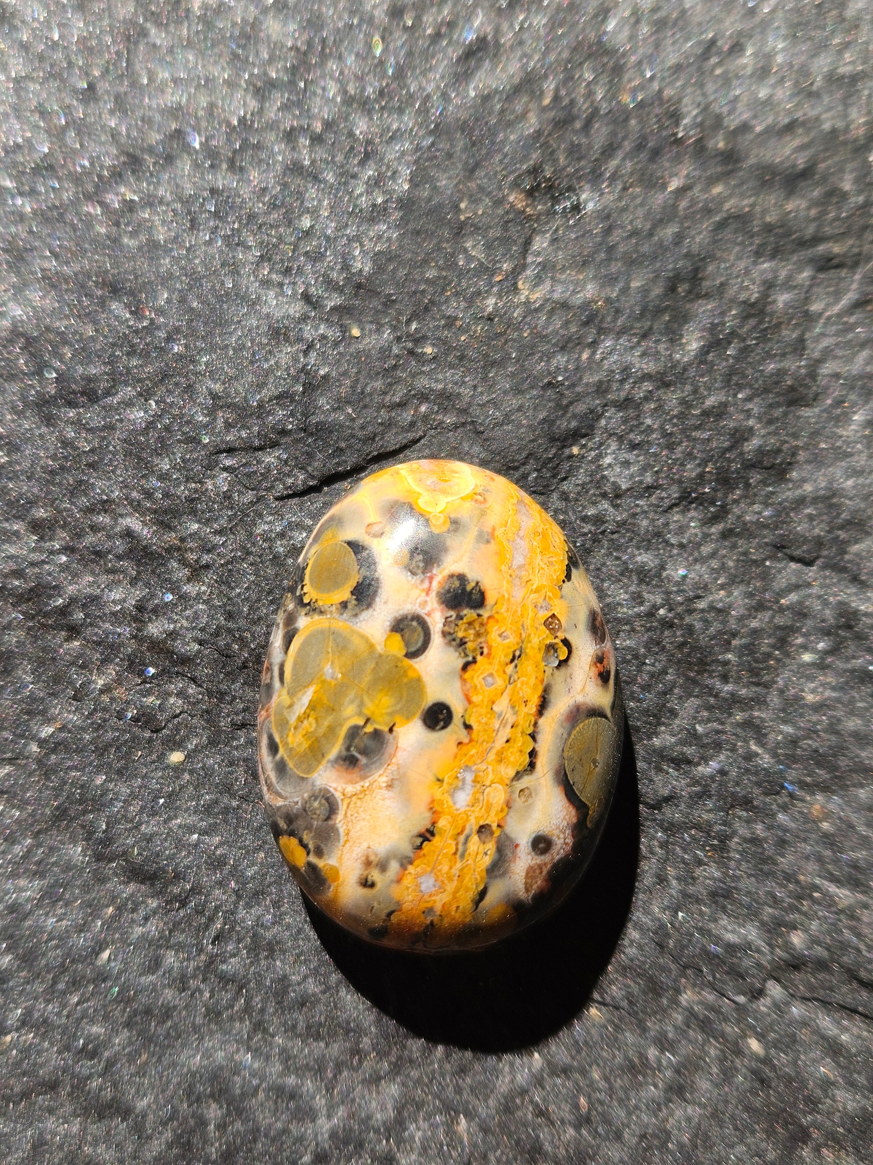 Natural Leopard Skin Jasper Cabochon — 25 x 20 mm Hand Cut Oval, Gold Band