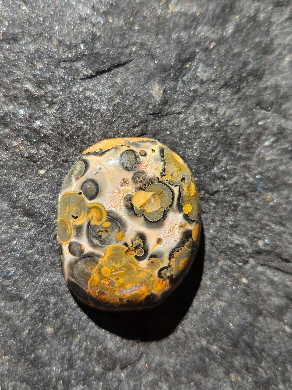 Natural Leopard Skin Jasper Cabochon — 24 x 21 mm Hand Cut Oval, Gold & Olive