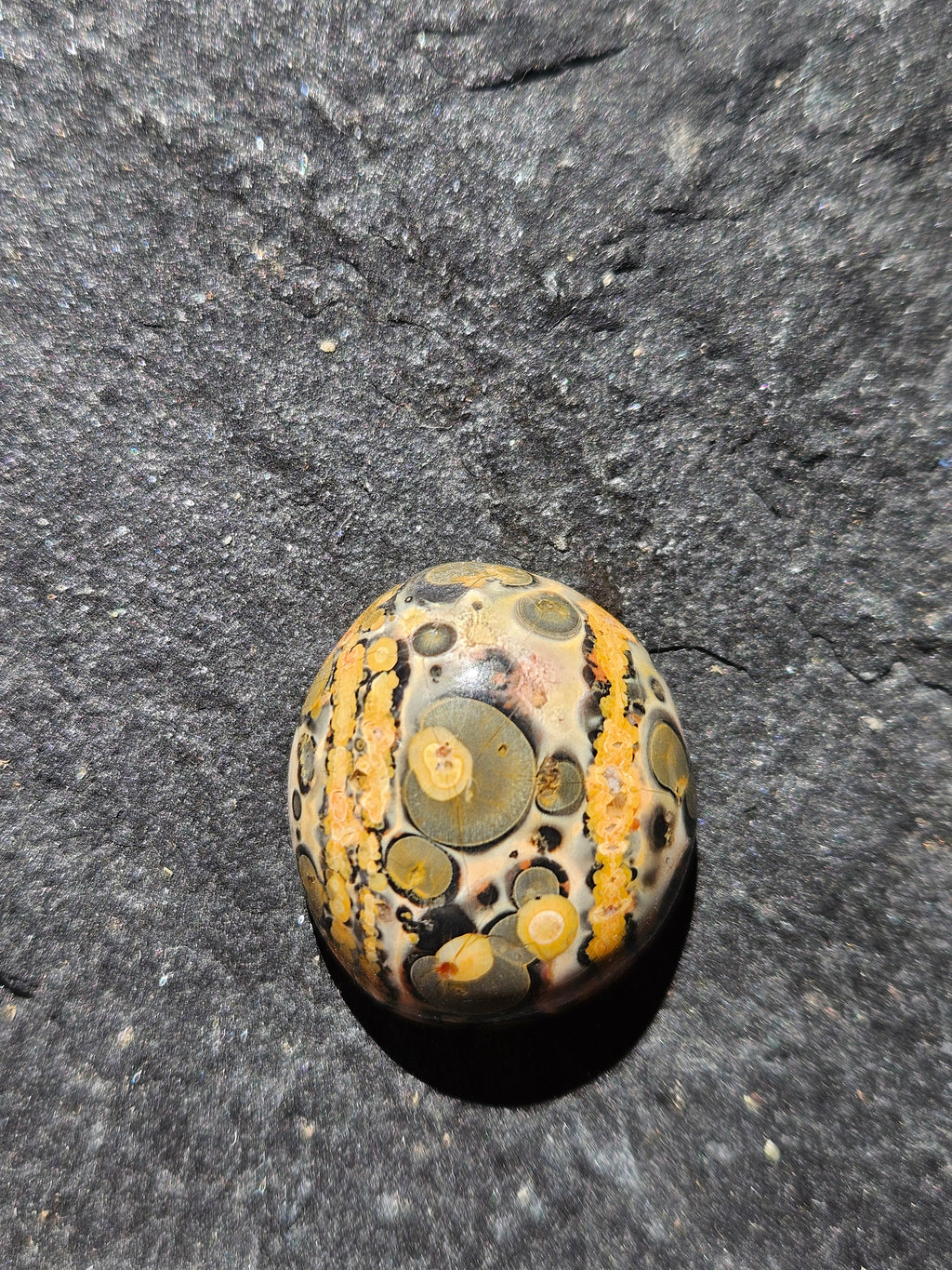 Natural Leopard Skin Jasper Cabochon — 24 x 20 mm Hand Cut Oval, Gold Stripe