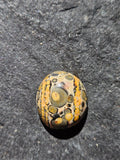 Natural Leopard Skin Jasper Cabochon — 24 x 20 mm Hand Cut Oval, Gold Stripe