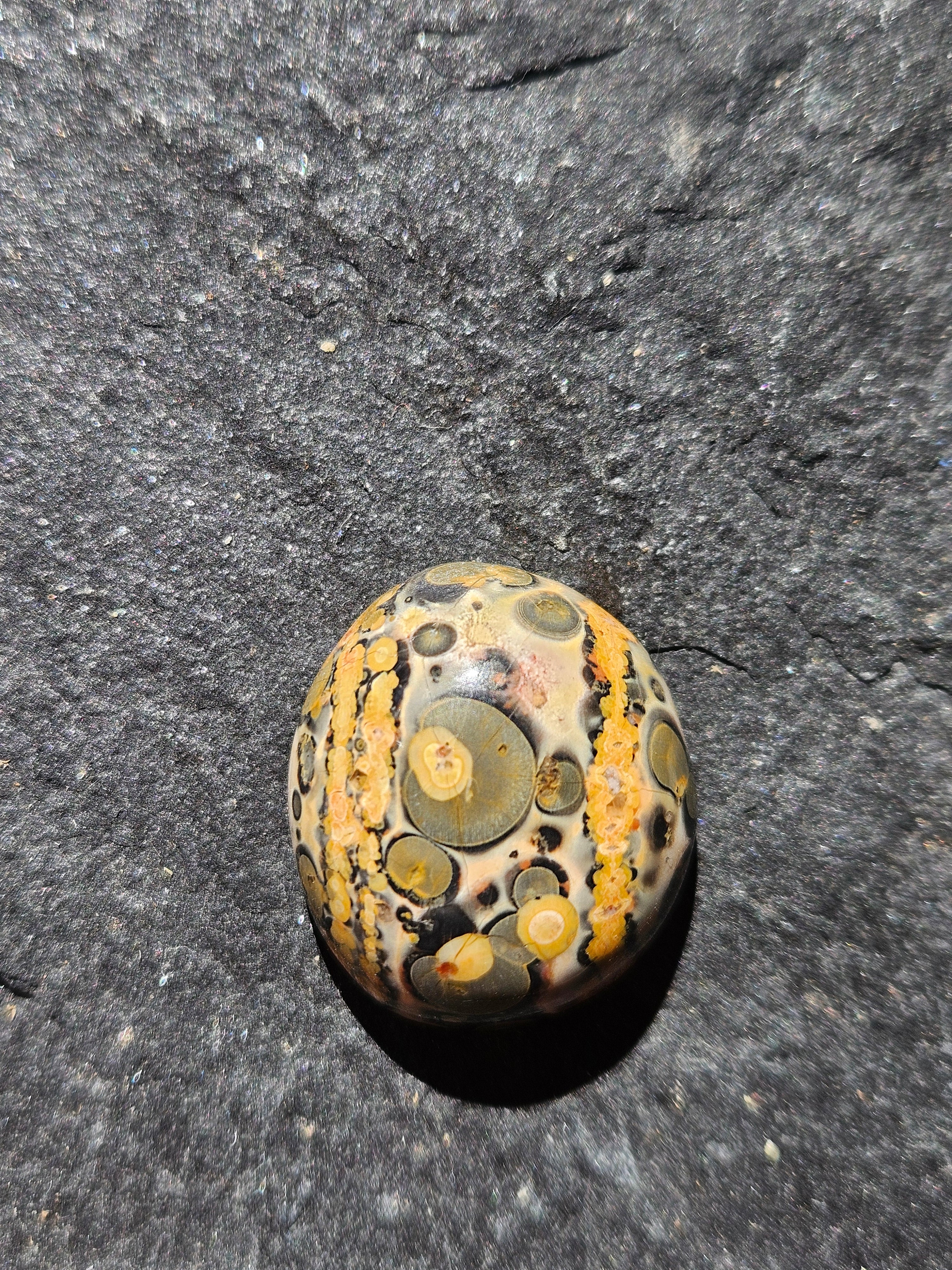 Natural Leopard Skin Jasper Cabochon — 24 x 20 mm Hand Cut Oval, Gold Stripe