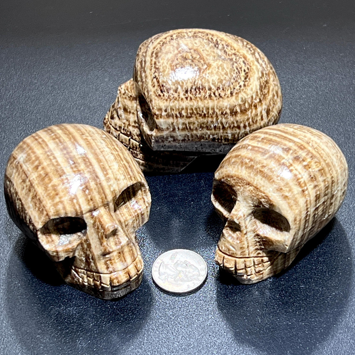 Brown Banded Aragonite Skull - Peru