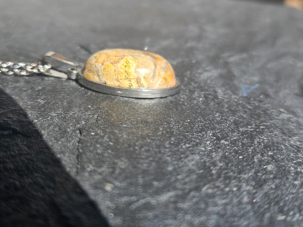 Picture Jasper Pendant Necklace