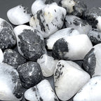 Quartz with Black Tourmaline Tumbled Stones