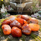 Large Carnelian Tumbled Stones - Brazil