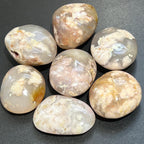 Flower Agate Palm Stone - Madagascar