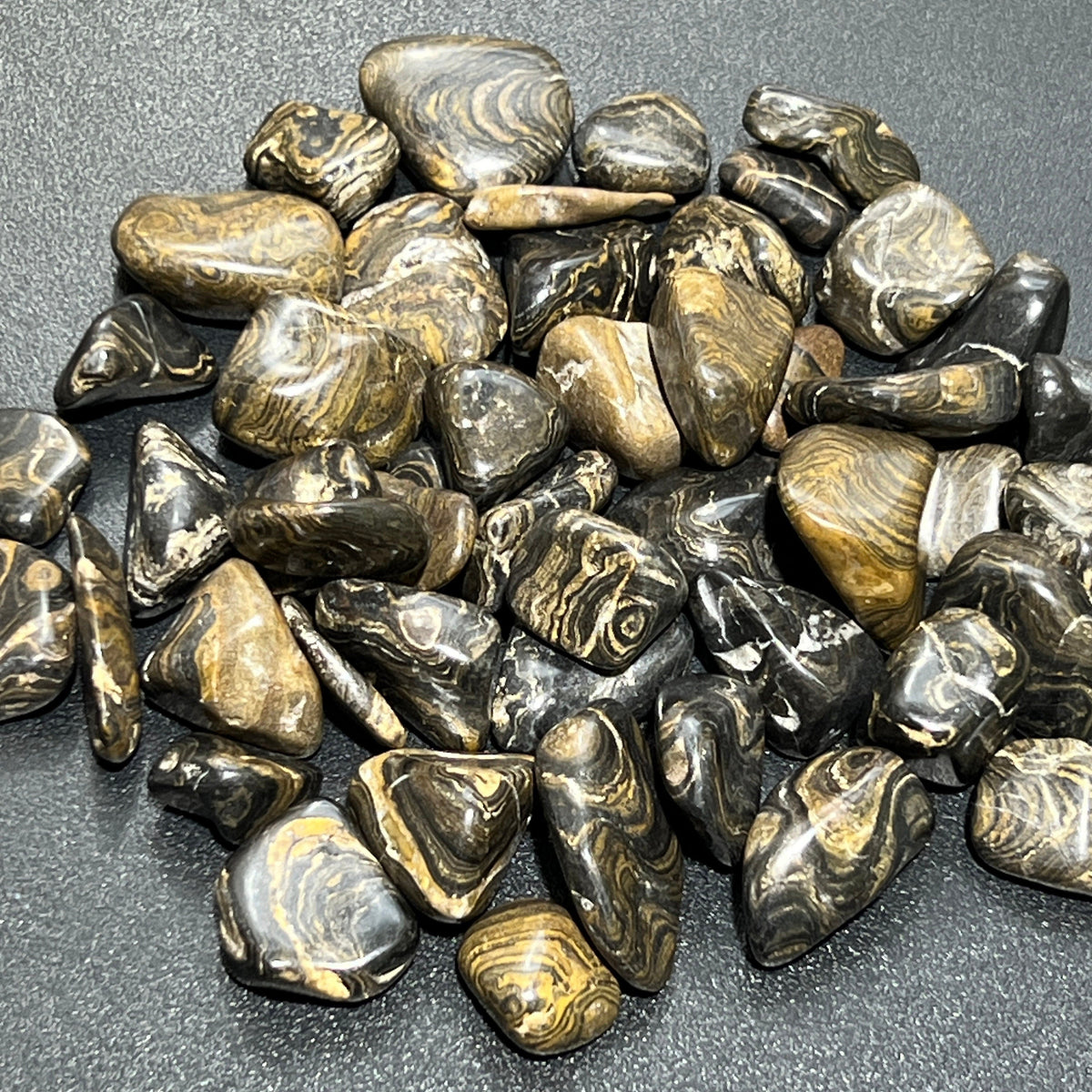 Stromatolite Fossil Tumbled Stones - Peru