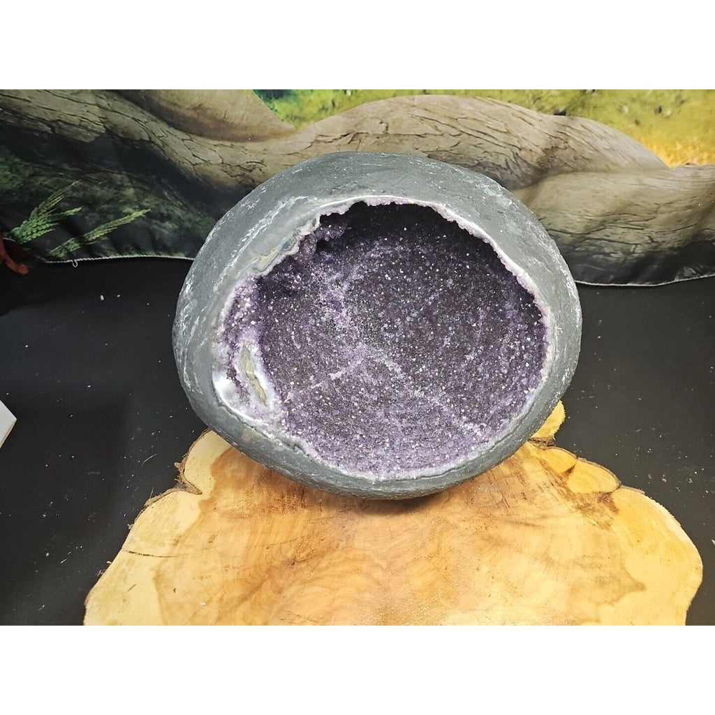 Amethyst Geode - 16.8 lb Raw Brazilian Specimen