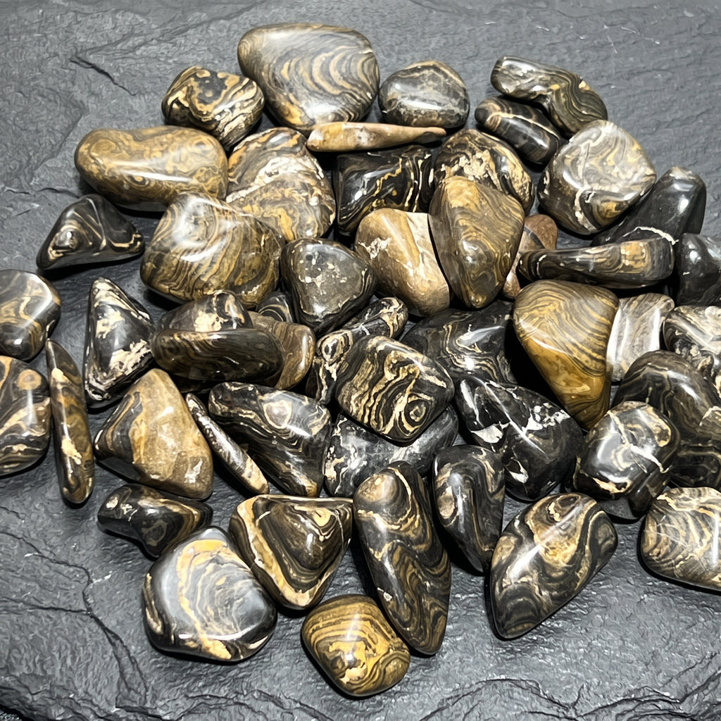 Stromatolite Fossil Tumbled Stones - Peru