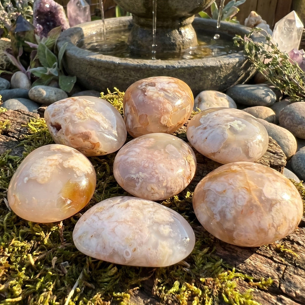 Flower Agate Palm Stone - Madagascar