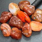 Large Carnelian Tumbled Stones - Brazil