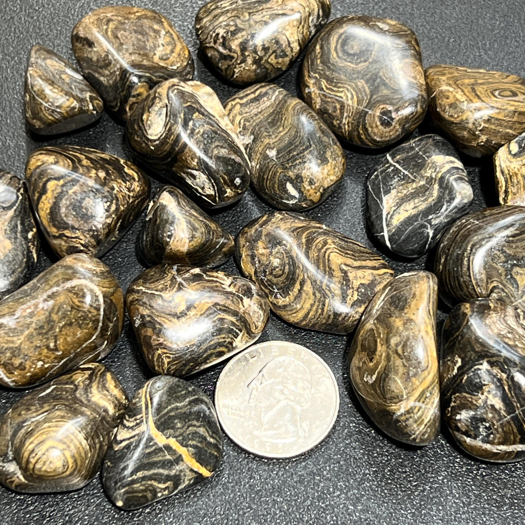Stromatolite Fossil Tumbled Stones - Peru