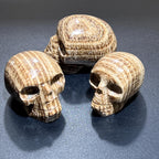 Brown Banded Aragonite Skull - Peru