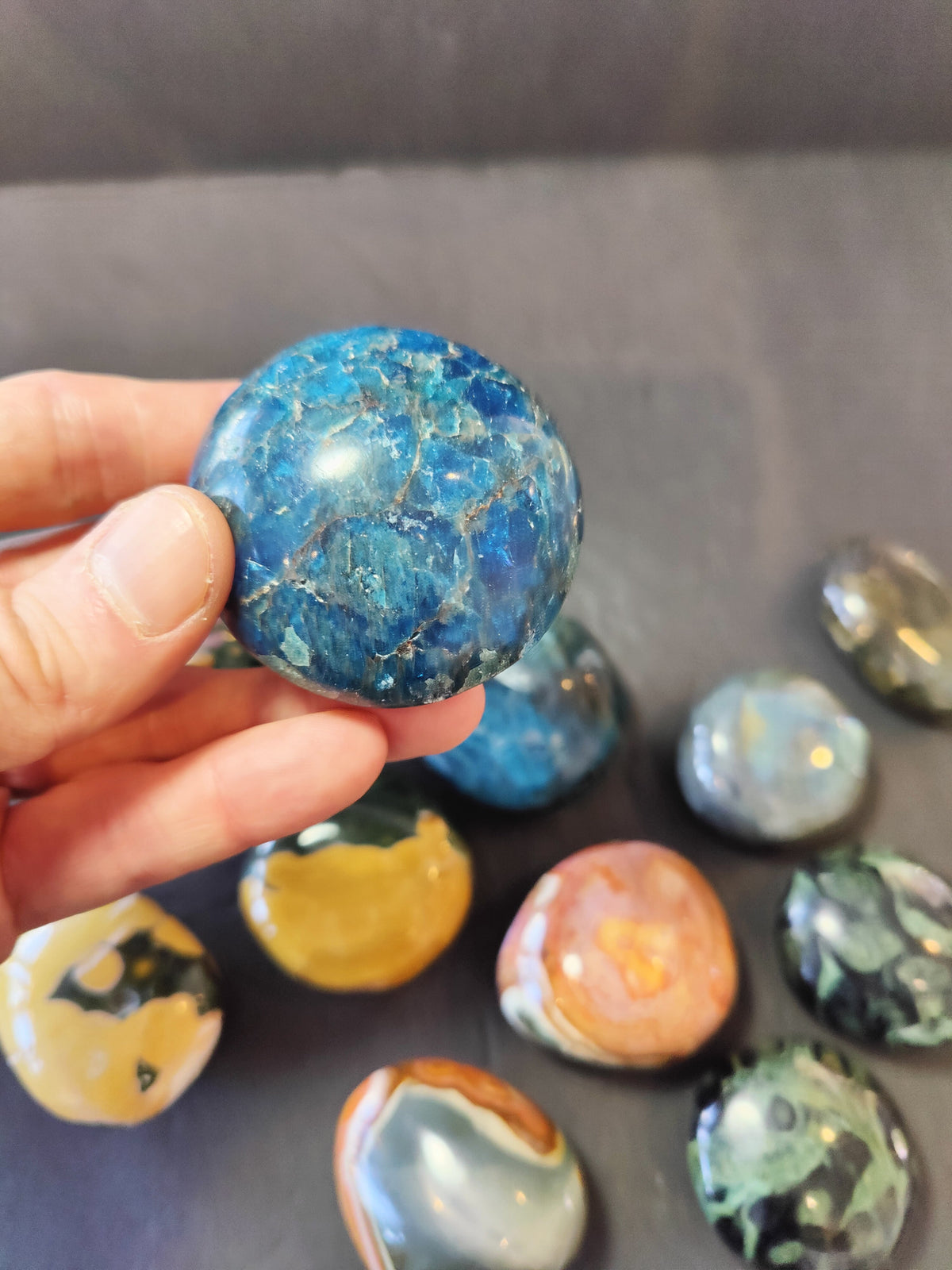 Palm Stone, Polished Ocean Jasper, Apatite, Kambaba, Polychrome or Labradorite - Madagascar