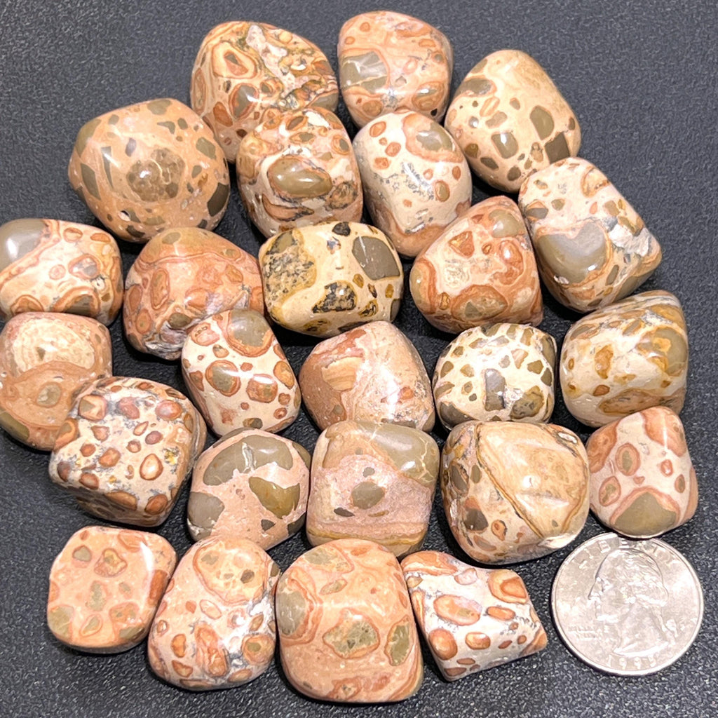 Leopardite Tumbled Stones