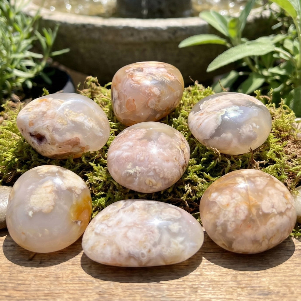 Flower Agate Palm Stone - Madagascar