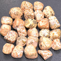 Leopardite Tumbled Stones