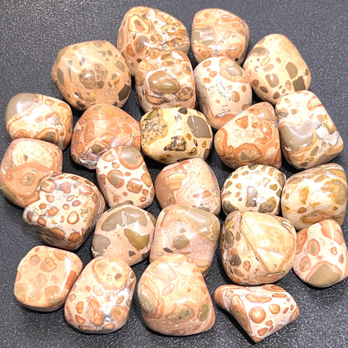 Leopardite Tumbled Stones