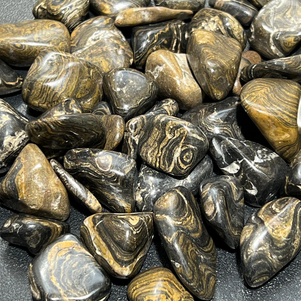 Stromatolite Fossil Tumbled Stones - Peru