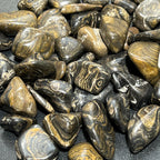 Stromatolite Fossil Tumbled Stones - Peru