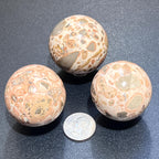 Leopardite Sphere - Peru