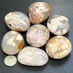 Flower Agate Palm Stone - Madagascar