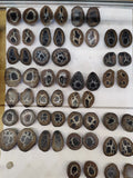 Collection of septarian crystals on a white paper with pricing information.