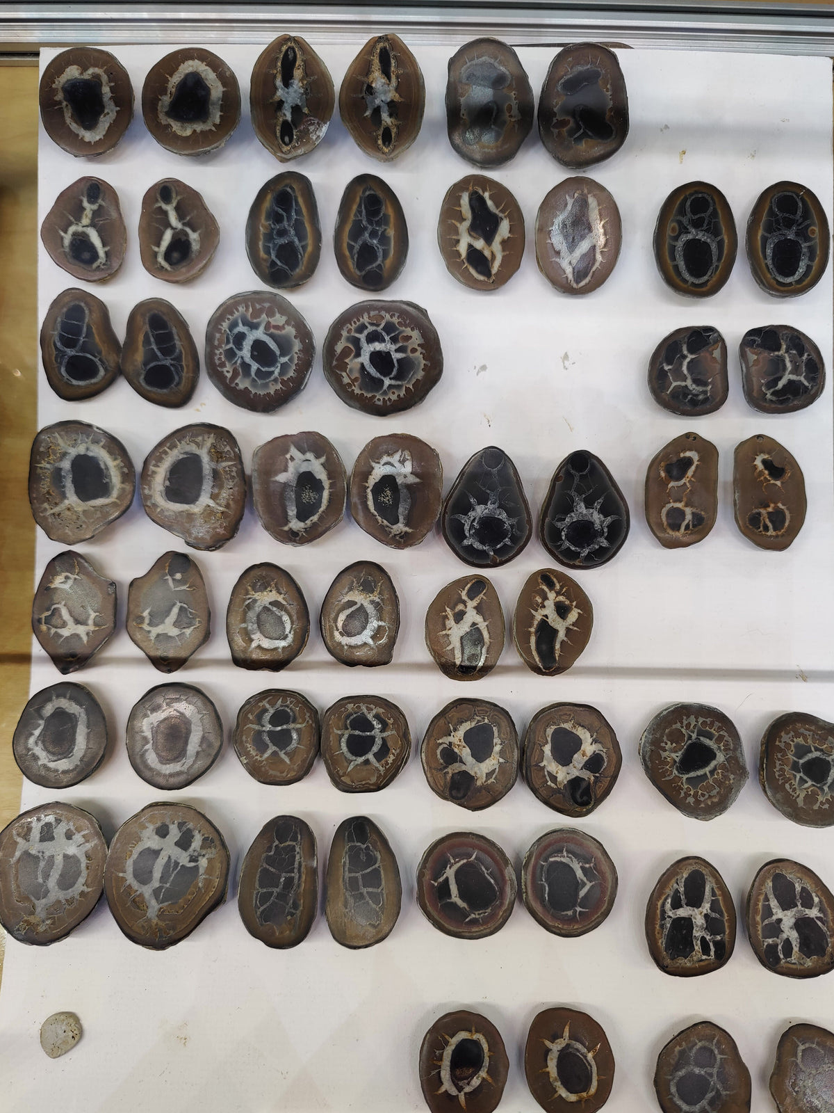 Collection of septarian crystals on a white paper with pricing information.